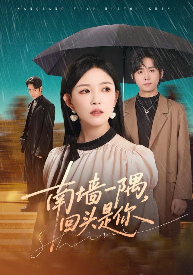 南墙一隅，回头是你