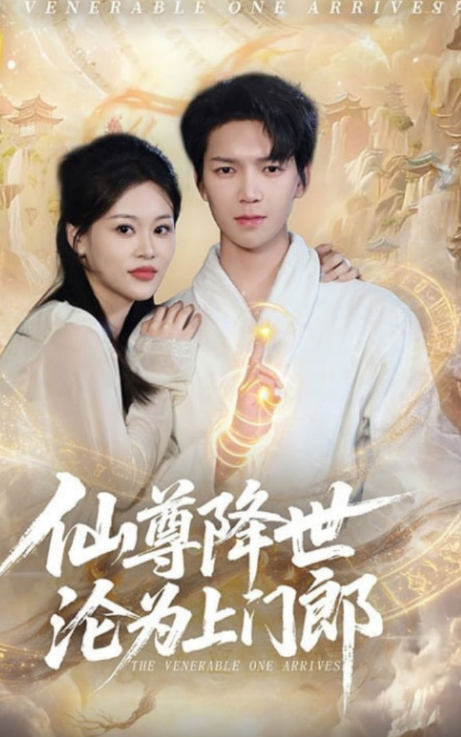 仙尊降世沦为上门郎